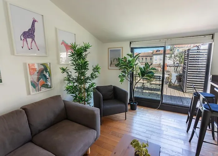 Roof Top In Center Of Toulouse-Free Parking-