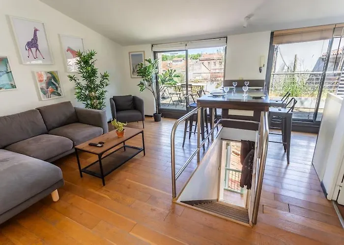 Roof Top In Center Of Toulouse-Free Parking-