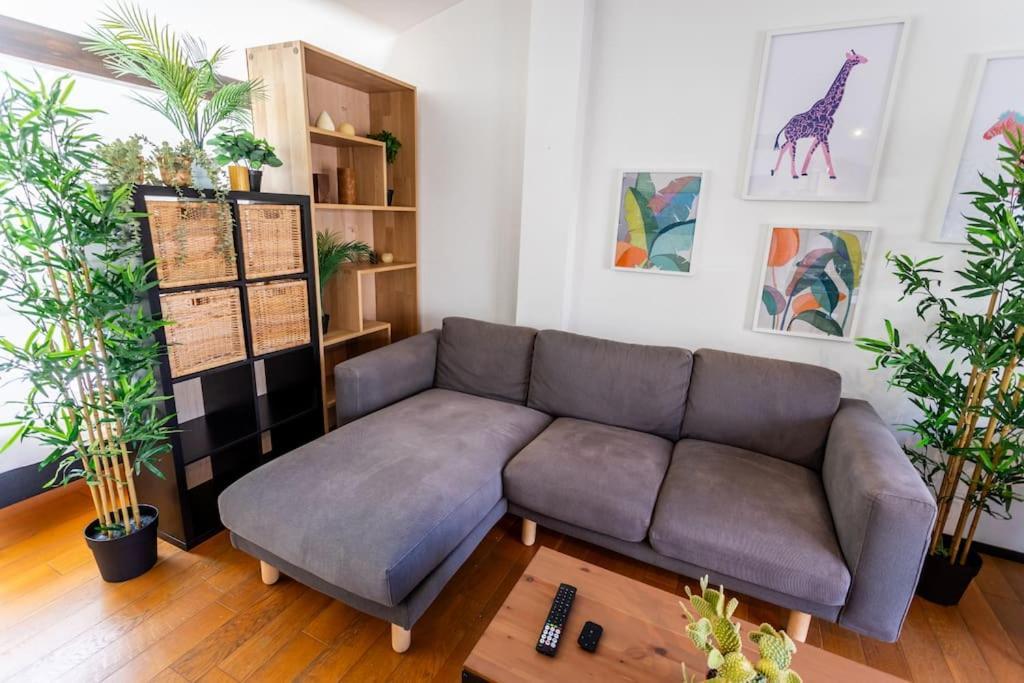 Appartement Roof In Center Of Toulouse-free Parking- Toulouse