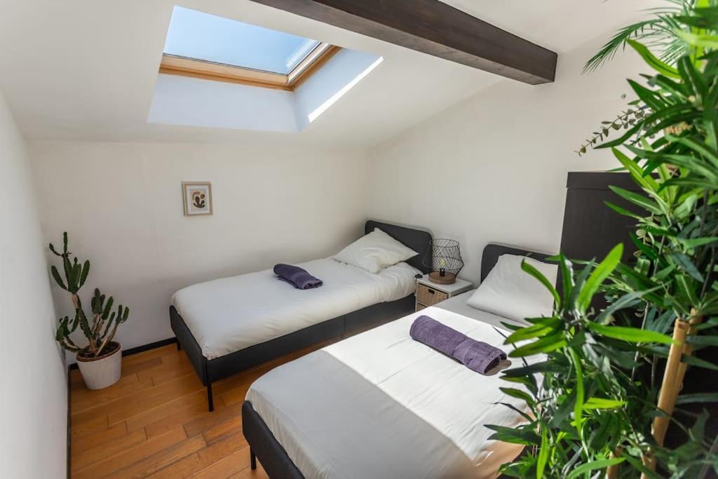 Apartment Roof In Center Of Toulouse-free Parking-