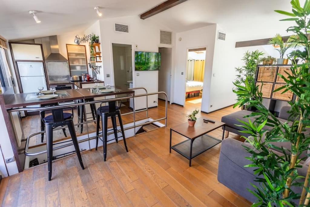 Apartment Roof In Center Of Toulouse-free Parking- *